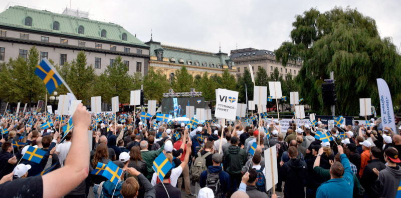 Alternative for Sweden is demonstrating in Stockholm on September 7. Photo: FWM